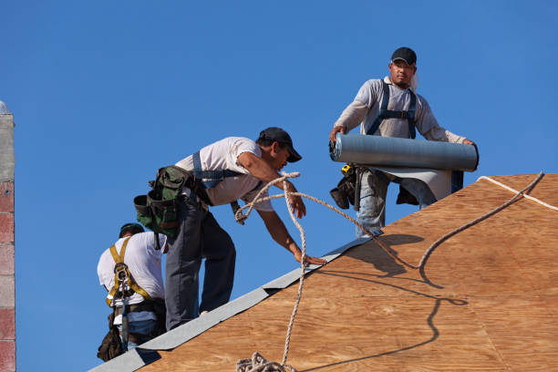 Best Storm Damage Roof Repair  in Moose Wilson Road, WY